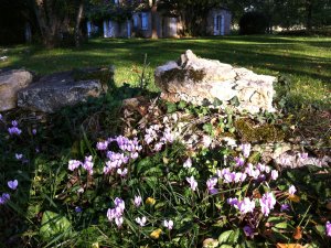 La Sudrie des fleurs